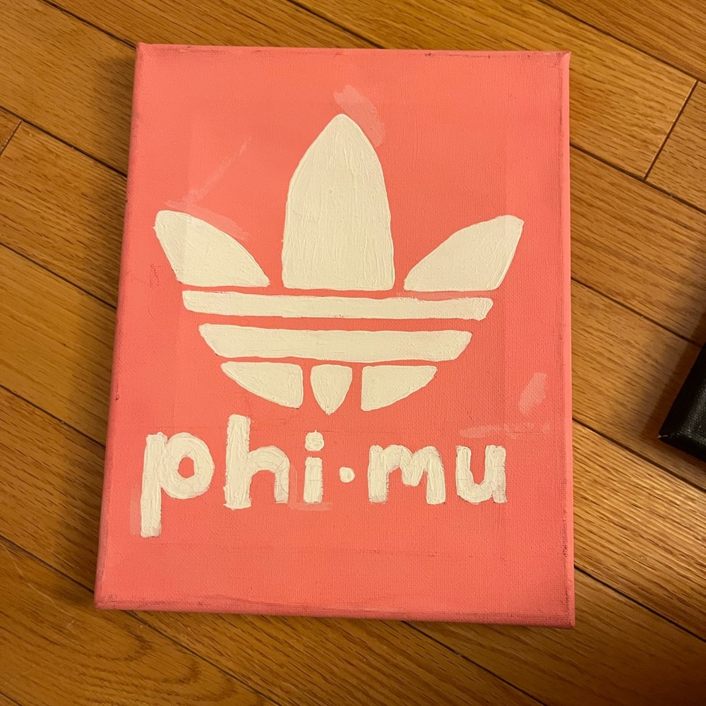 Phi Mu Canvases Perfect for Big/ Little